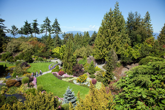 Photo of Queen Elizabeth Park by s.yume