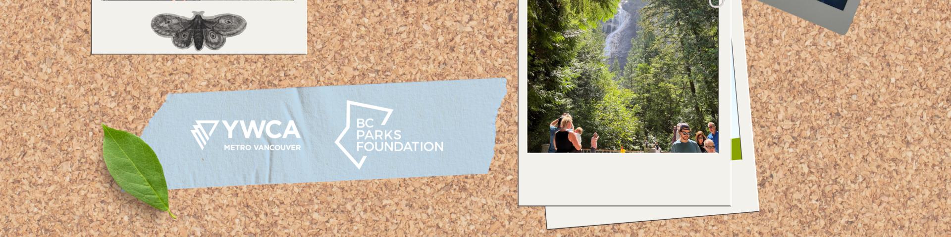 The Nature Zone 2025