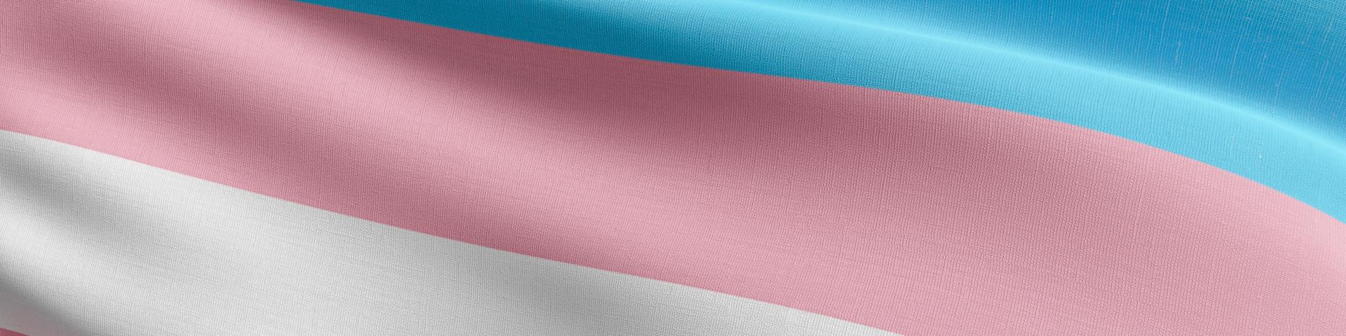 Trans flag