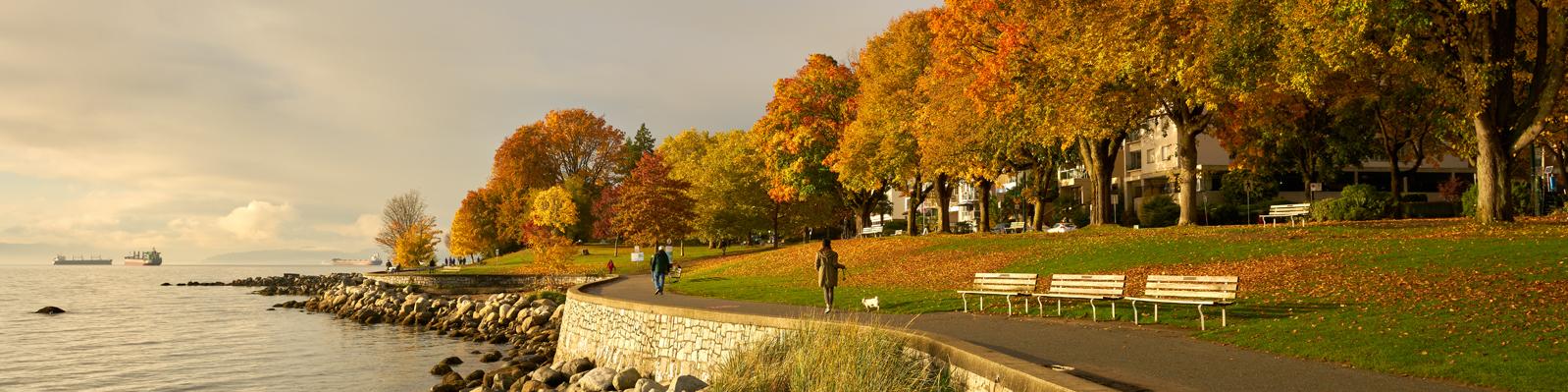 Person running along the Stanley park seawall among a row of trees with autumn leaves