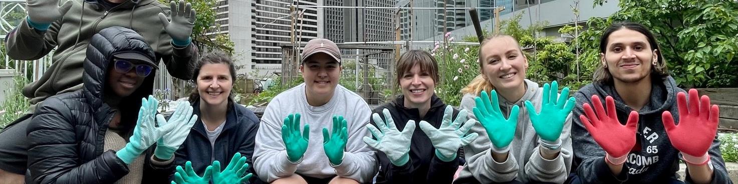 Volunteers at rooftop garden