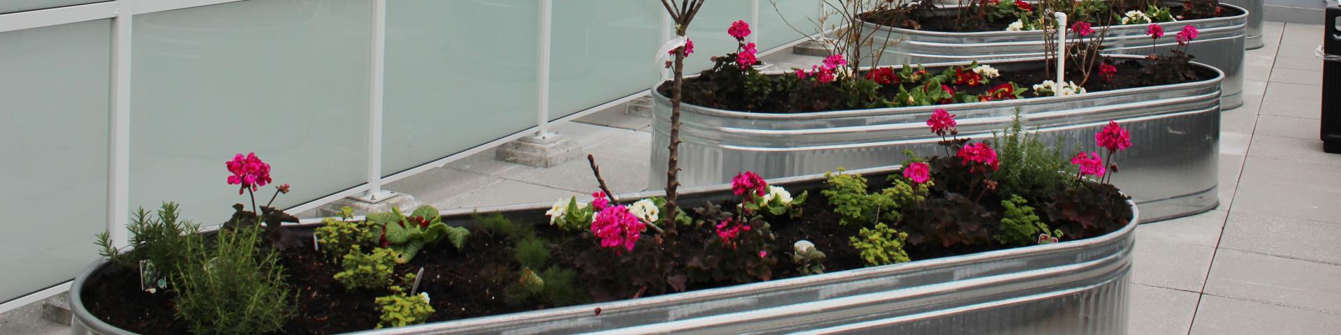 Rent Geared To Income Housing Application