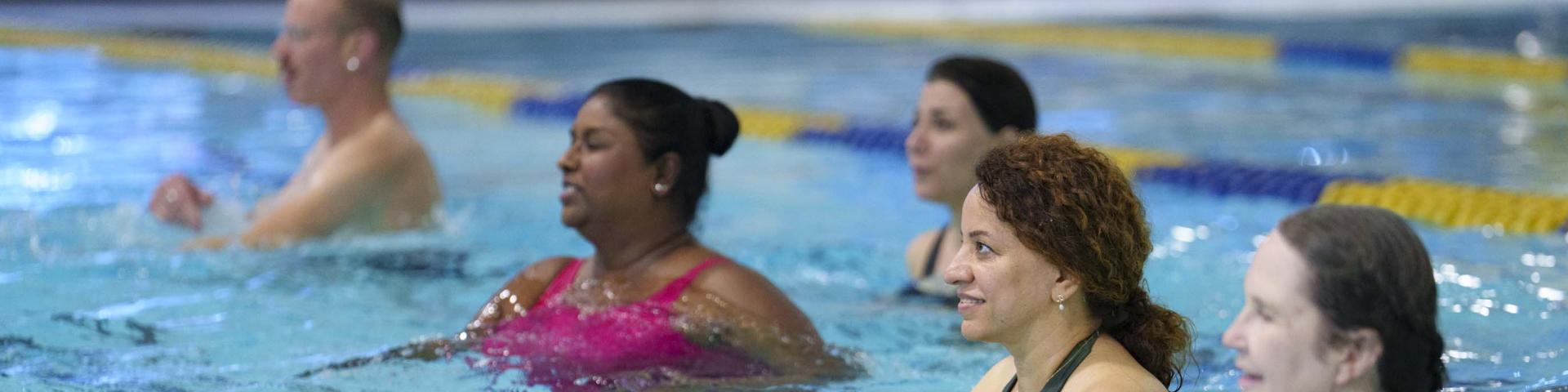 Participants in the pool