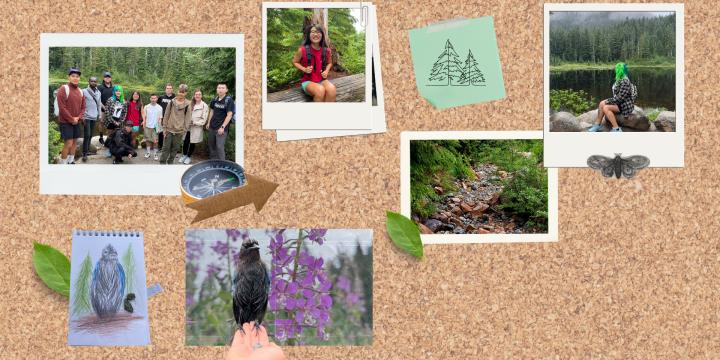 Photo collage of YWCA The Nature Zone participants