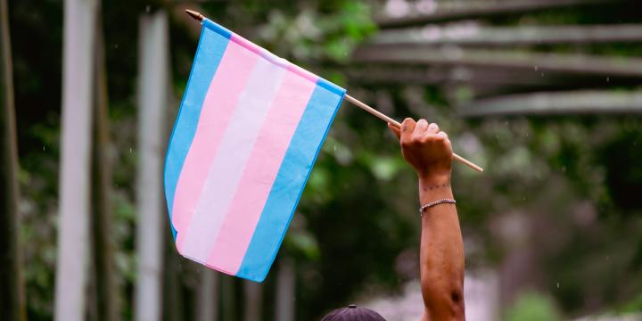 Trans Flag flying