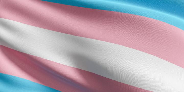 Trans flag