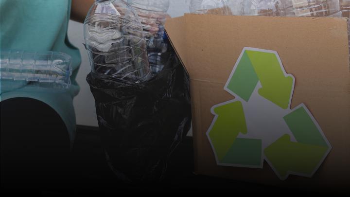 Women sorting bottles for recycling
