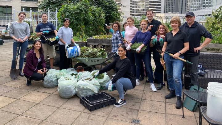 Group volunteers