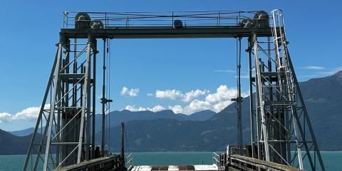 The Nature Zone 2025. Photo taken by participant.