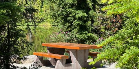 The Nature Zone 2025. Photo taken by participant.