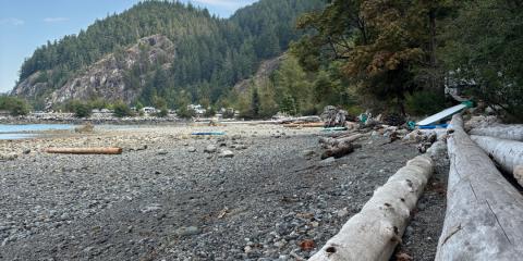 The Nature Zone 2025. Photo taken by participant.