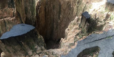 The Nature Zone 2025. Photo taken by participant.