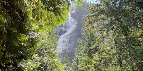 The Nature Zone 2025. Photo taken by participant.