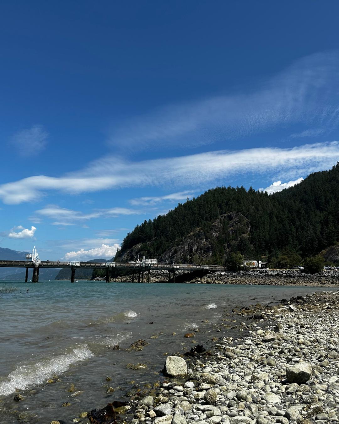 The Nature Zone 2025. Photo taken by participant.