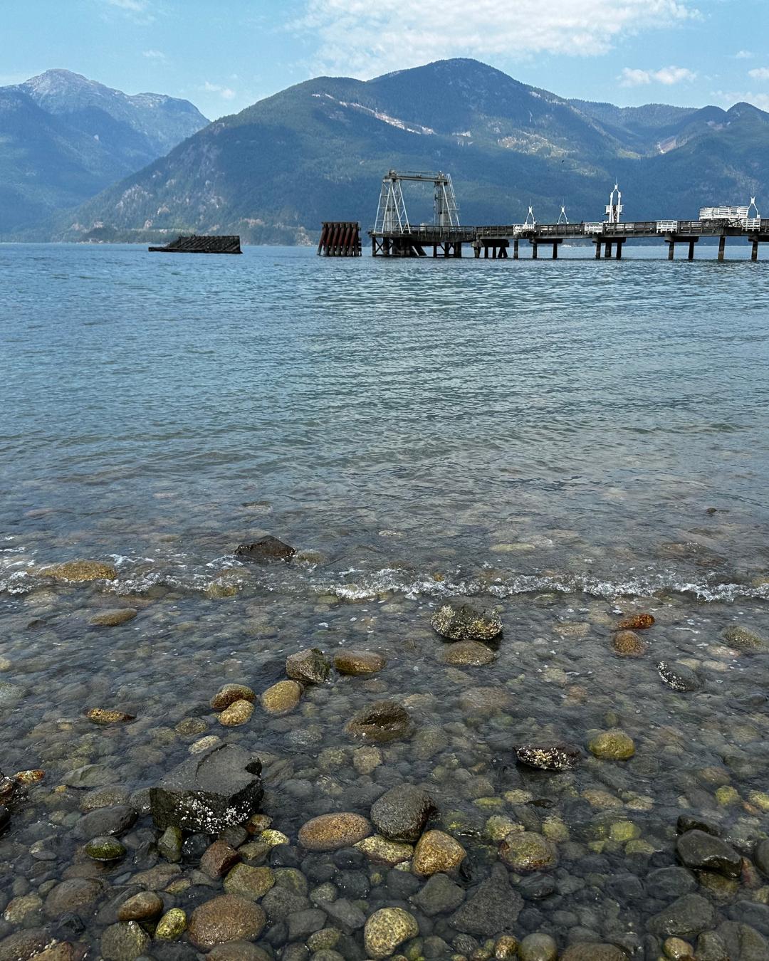 The Nature Zone 2025. Photo taken by participant.