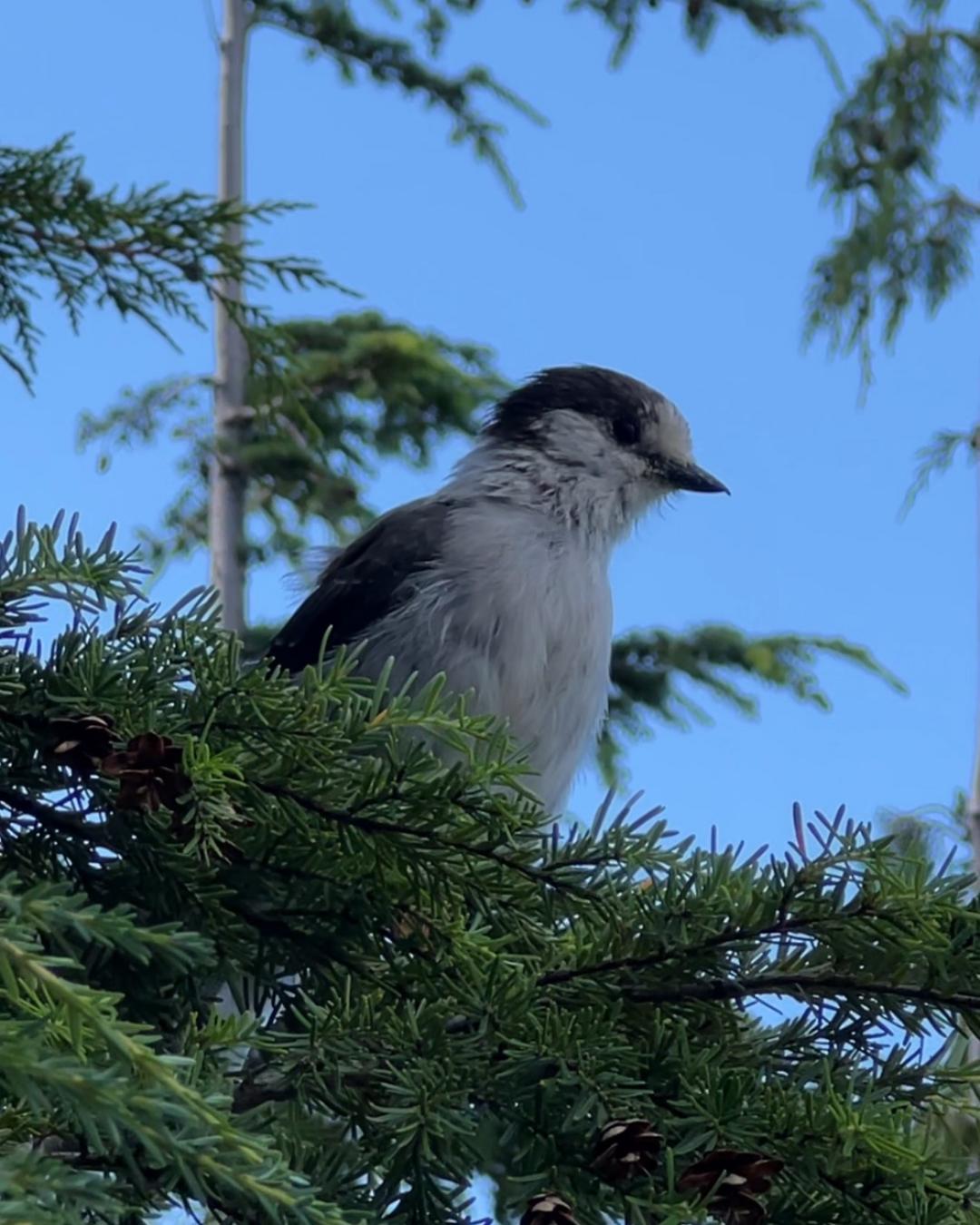 The Nature Zone 2025. Photo taken by participant.