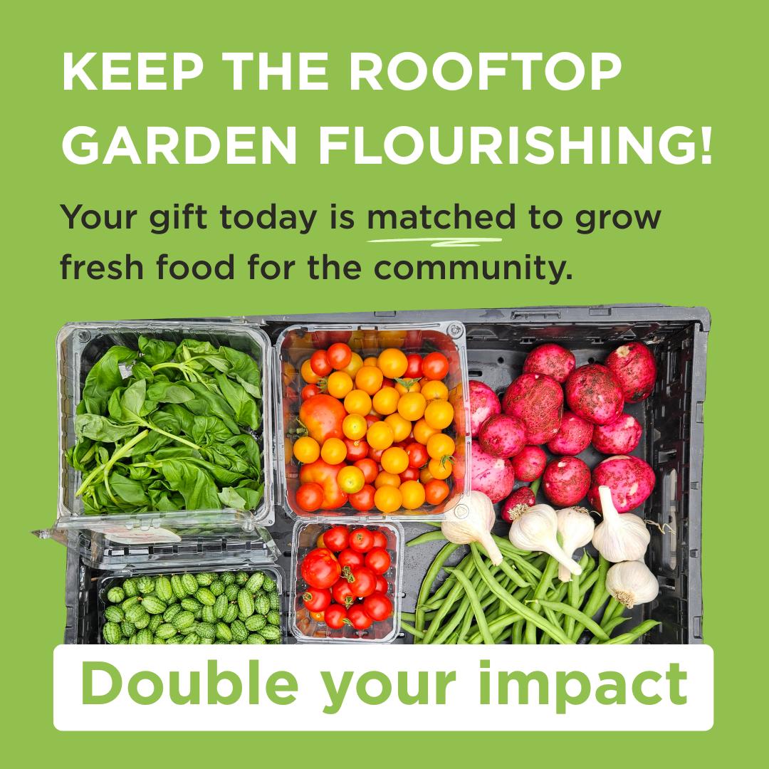 Your gift today is matches to grow fresh food for the community. Double your impact today!