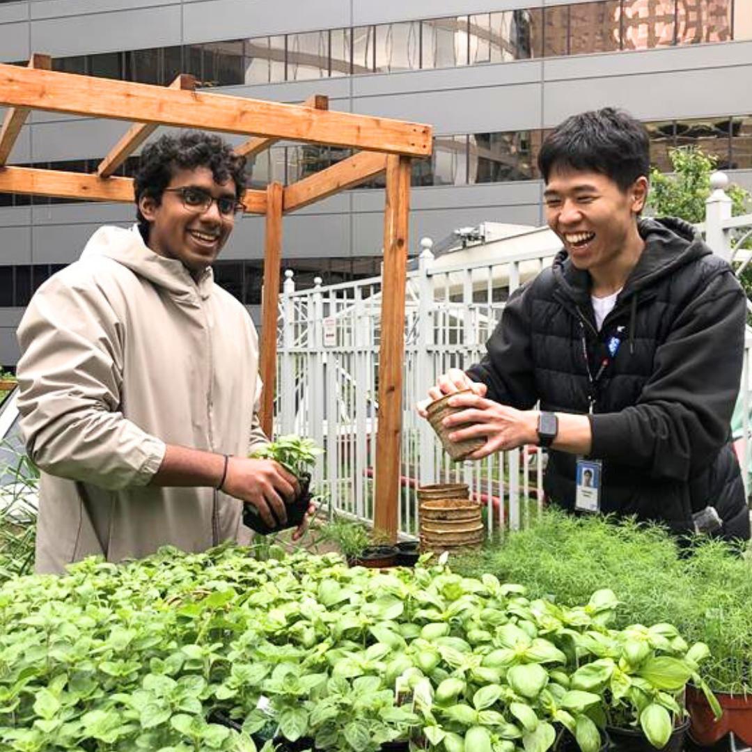 Rooftop garden volunteers