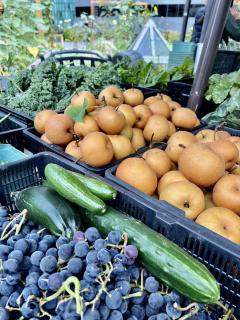 Cartons of vegetables