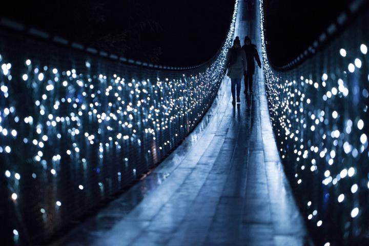 Photo of Capilano Suspension Bridge Canyon Lights