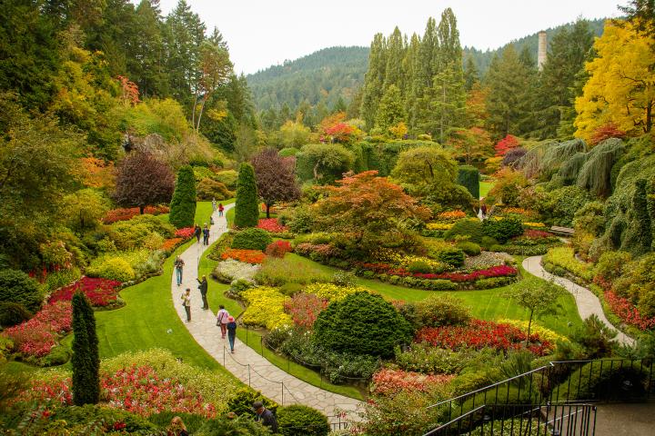 Victoria Butchart Gardens in the fall