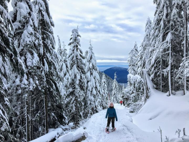 Person snowshoeing on Cypress Mountain
