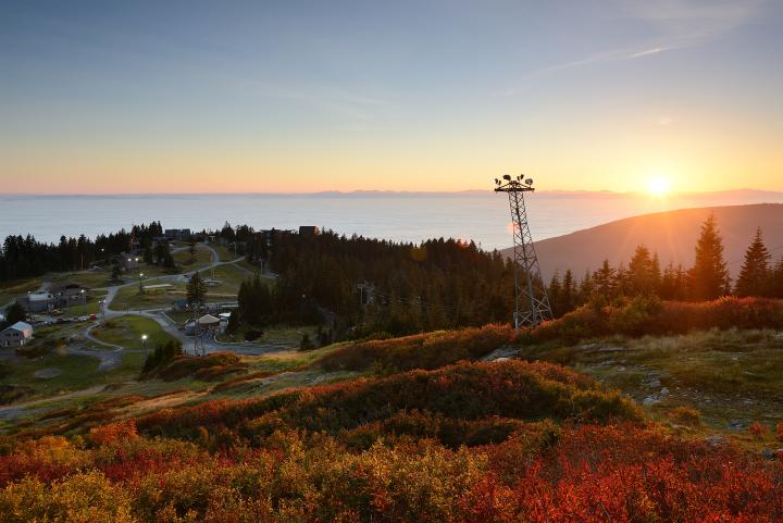 Photo of autumn colours on Grouse Mountain