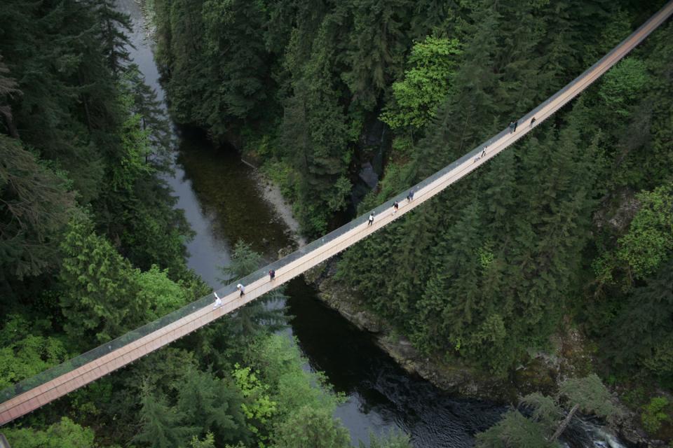 Capilano suspension bridge