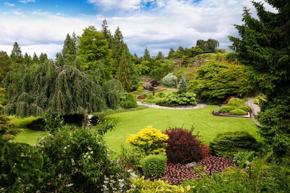 Queen Elizabeth Park Vancouver