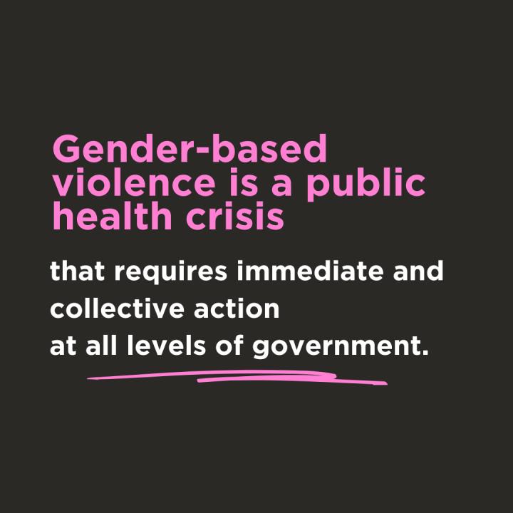 Gender-based violence is a public health crisis// that requires immediate and collective action at all levels of government.