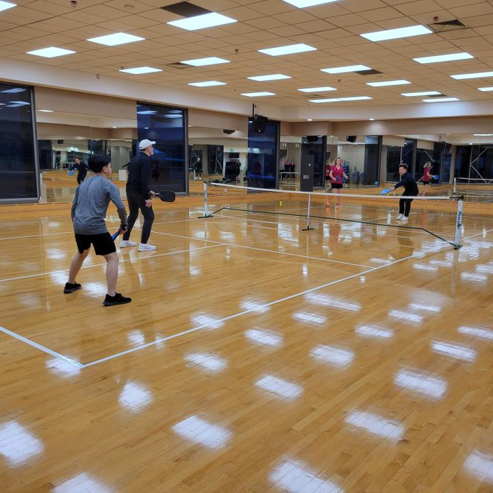 Pickleball Court