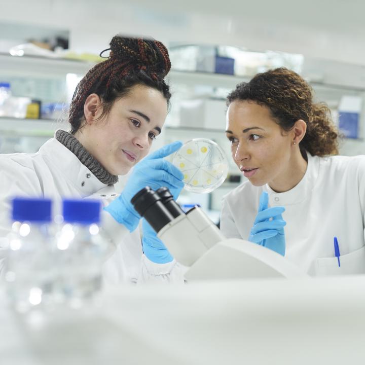 Two female healthcare professionals working on a laboratory